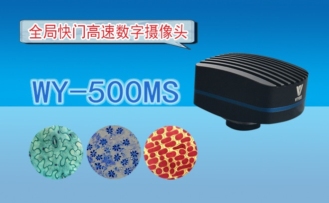 生命科学丝瓜网站在线观看的观察方式