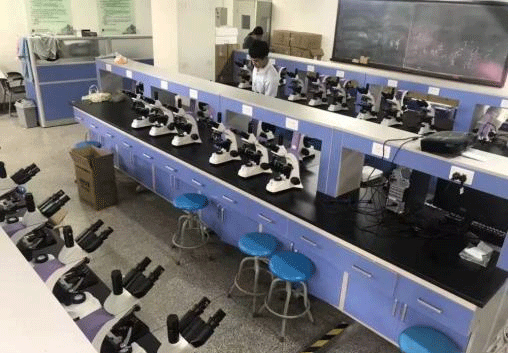 生物丝瓜网站在线观看.png