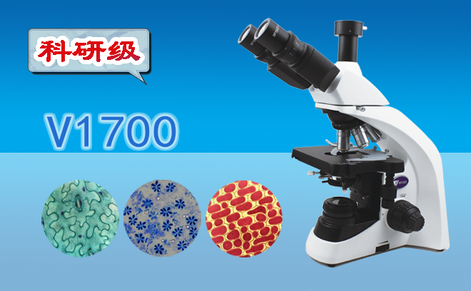 生物丝瓜网站在线观看.png