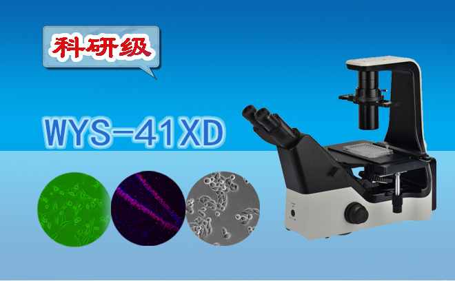 倒置生物丝瓜网站在线观看.jpg