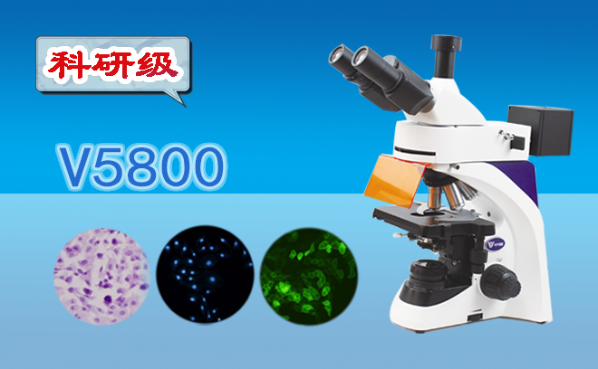 荧光生物丝瓜网站在线观看.png