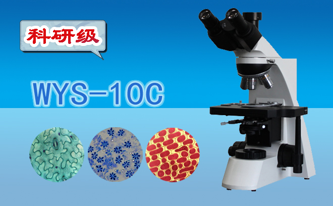 生物丝瓜网站在线观看.jpg
